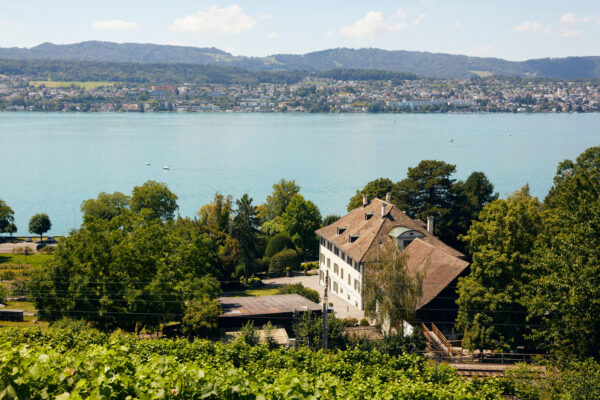 Blick vom Rebberg über das Gründerhaus der Martin Stiftung und den Biohof auf den Zürichsee.